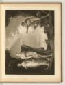 Boydell's Shakespeare Gallerie, Vol. I., The Tempest, Act I, Scene II, Inv. Nr.: England nach S…