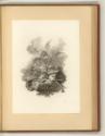 The History of England by Dav. Hume, Illustrations Vol. I., Vignette Rüstung und Dämon, Inv. Nr…