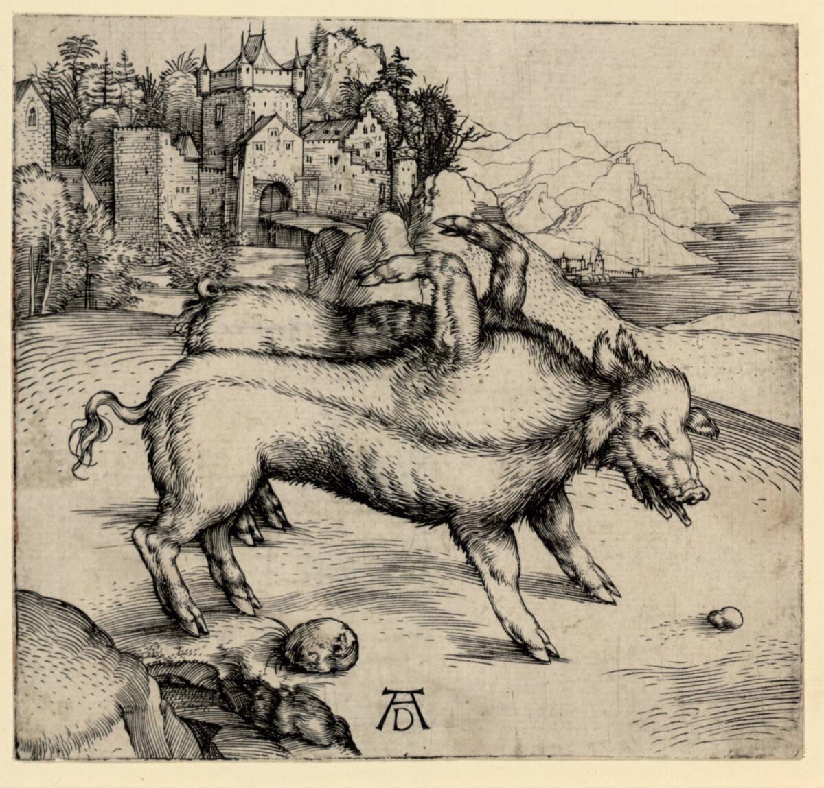 Die Missgeburt eines Schweines, Albrecht Dürer, 1496