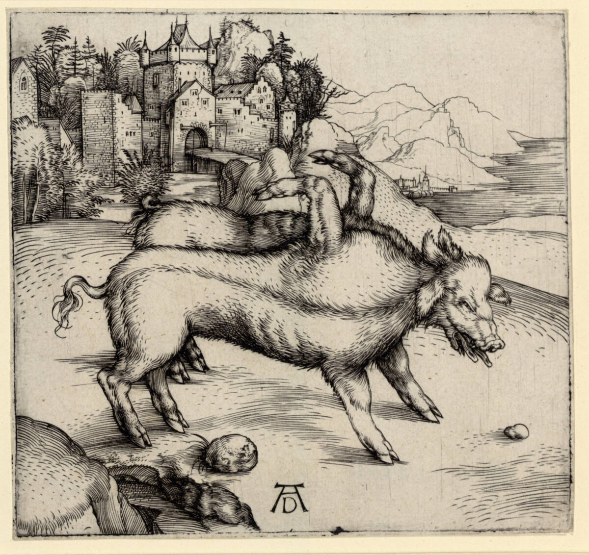 Die Missgeburt eines Schweines, Albrecht Dürer, 1496