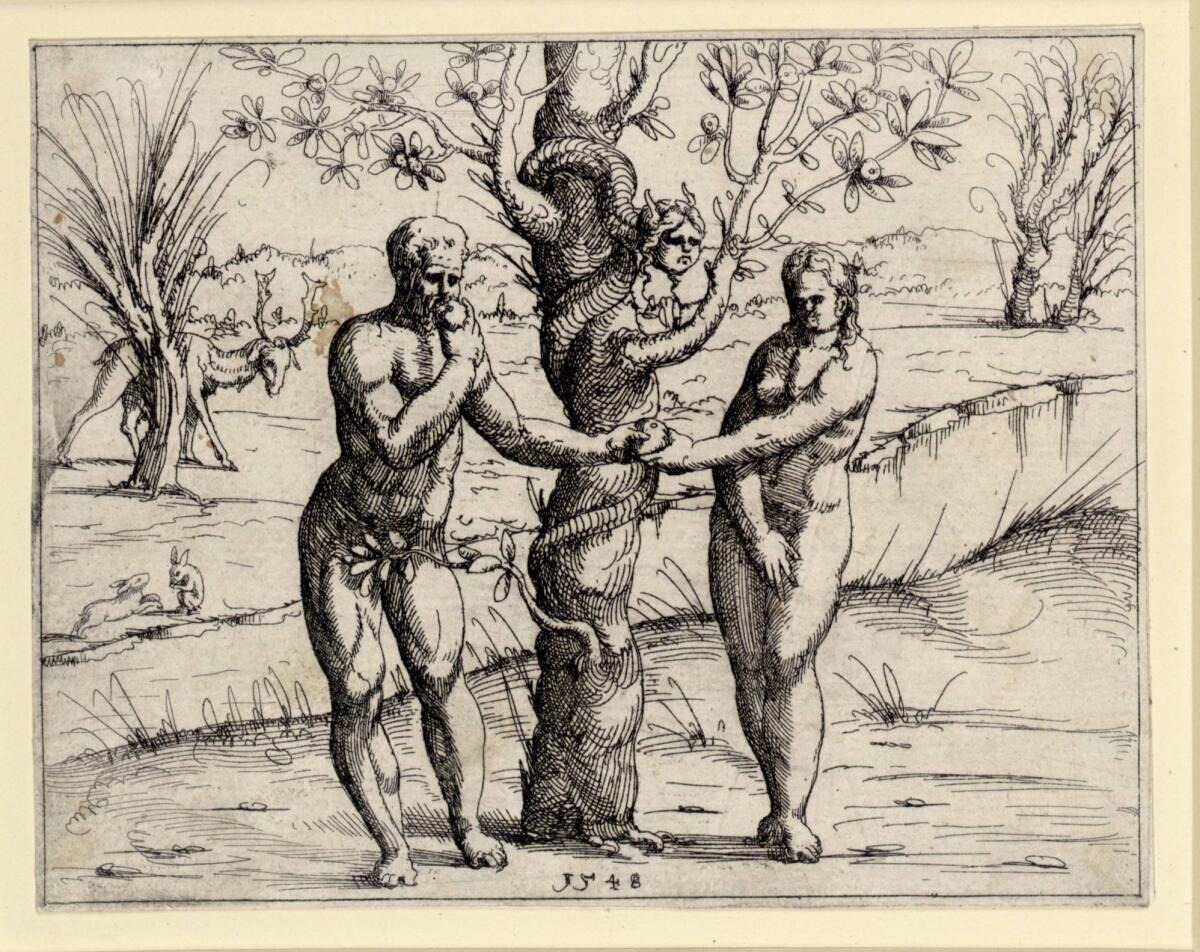 Augustin Hirschvogel, Adam isst den Apfel, Inv. Nr.: DG1930/2005