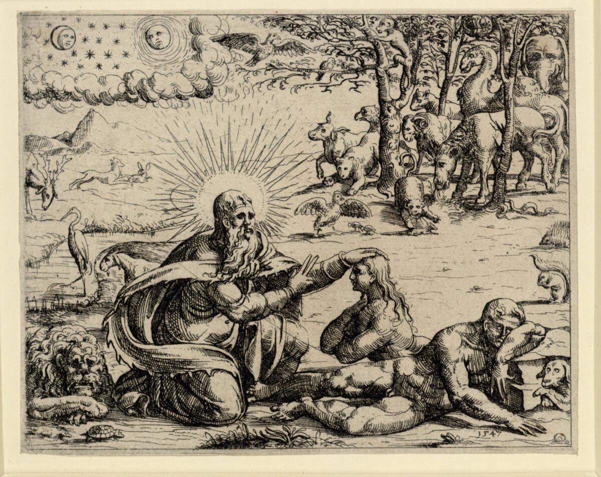 Augustin Hirschvogel, Die Erschaffung Evas, Inv. Nr.: DG1930/2037