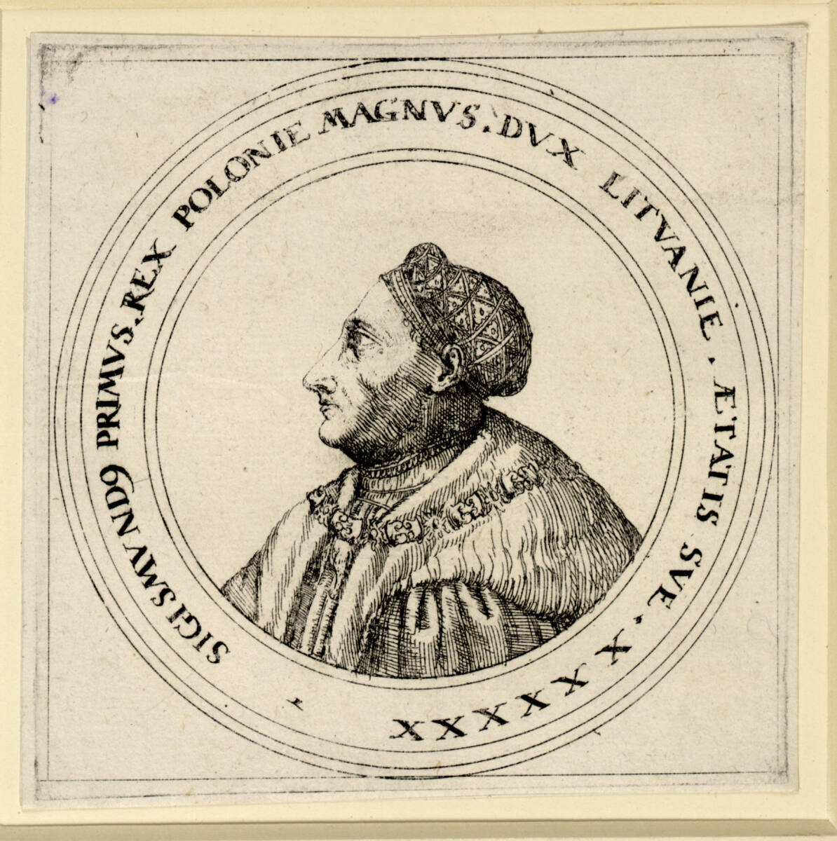 König Sigismund I. von Polen, Augustin Hirschvogel