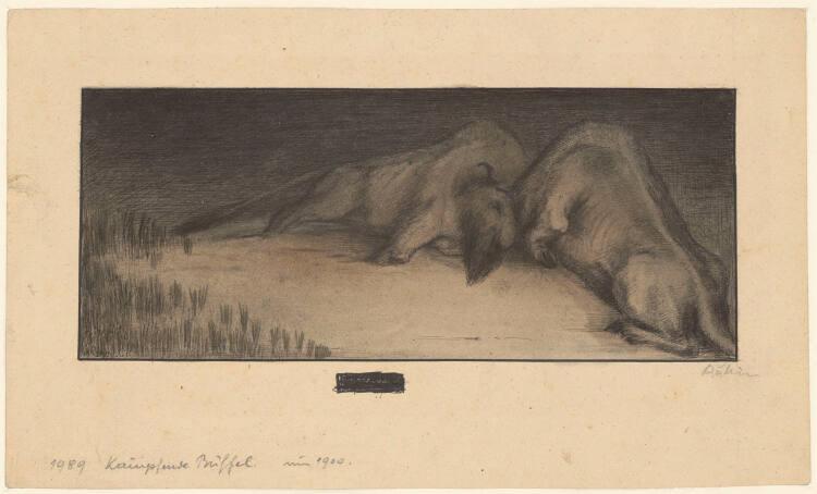 Alfred Kubin, Kämpfende Büffel, Inv. Nr.: 34378