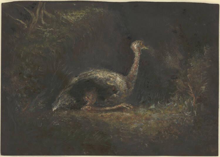 Alfred Kubin, Strauß, Inv. Nr.: 33351