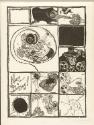 Rudolf Schönwald, Druckgraphik 70; Nur Böses!, Inv. Nr.: DG2005/10868/11