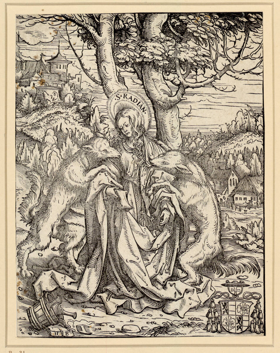 Die Heilige Radiana, von Wölfen angefallen, Hans Burgkmair the Elder