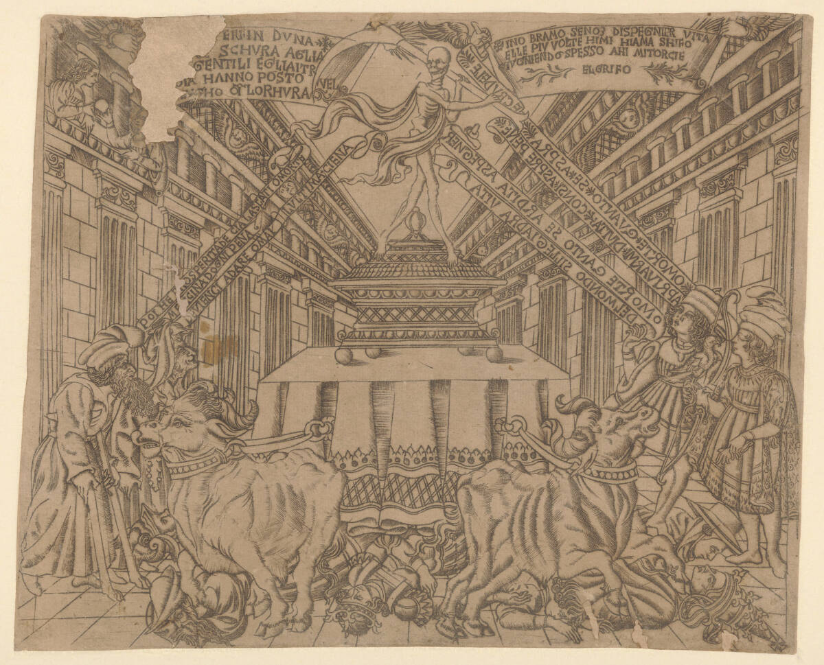 Der Wiener Triumph von Petrarch, MeisterderWienerPassion