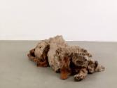 Eva Beresin, Spontaneous Sights of Nature, Dog, Inv. Nr.: HFDLA051
