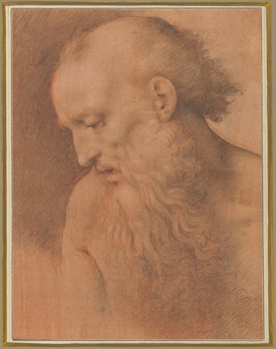 Brustbild eines nackten bärtigen Alten im Profil nach links, den Blick nach links unten gerichtet, Cesare da Sesto