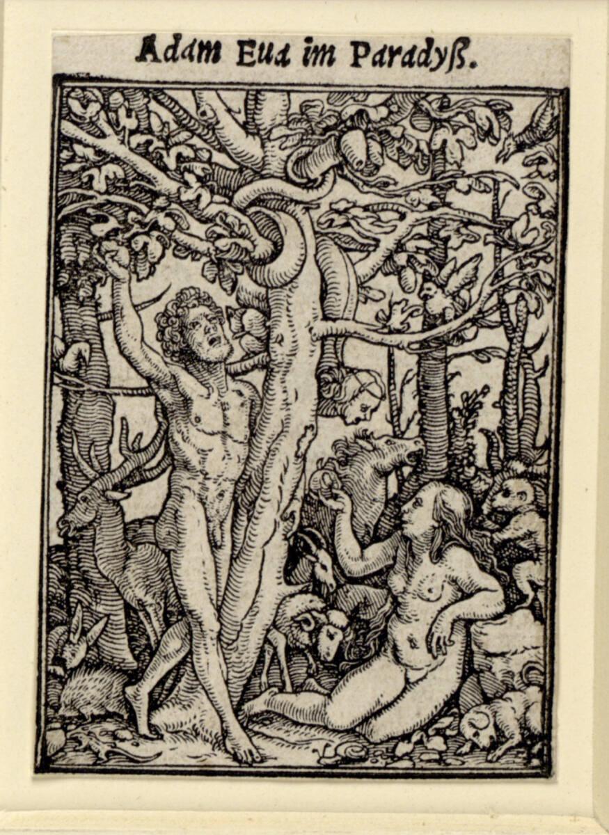 Hans Holbein d. J., Der Sündenfall, Inv. Nr.: DG1936/180