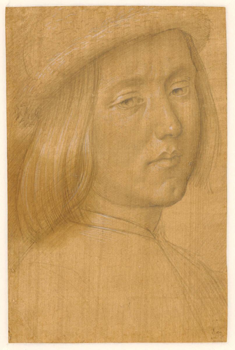 Lorenzo di Credi, Kopf eines Jünglings, Inv. Nr.: 24414