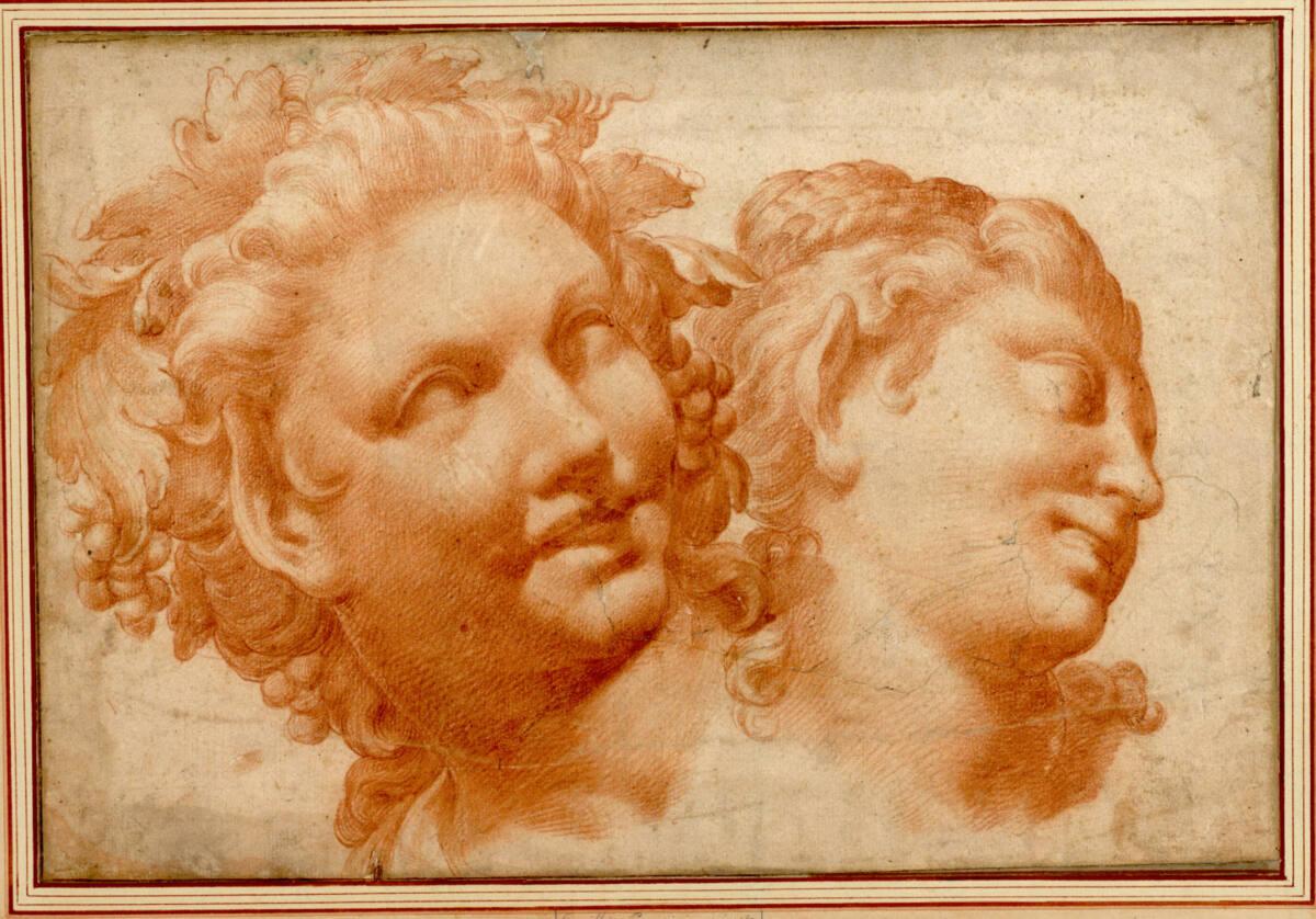 Anonym, Zwei Satyrköpfe nach rechts, Inv. Nr.: 2044