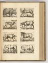 Druckgrafiken von und nach Antonio Tempesta, Band IV., Diverse vierbeinige Tiere, Inv. Nr.: HB7…