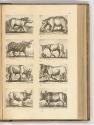 Druckgrafiken von und nach Antonio Tempesta, Band IV., Diverse vierbeinige Tiere, Inv. Nr.: HB7…