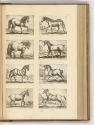 Druckgrafiken von und nach Antonio Tempesta, Band IV., Diverse vierbeinige Tiere, Inv. Nr.: HB7…