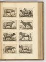 Druckgrafiken von und nach Antonio Tempesta, Band IV., Diverse vierbeinige Tiere, Inv. Nr.: HB7…