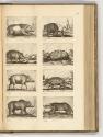 Druckgrafiken von und nach Antonio Tempesta, Band IV., Diverse vierbeinige Tiere, Inv. Nr.: HB7…