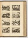 Druckgrafiken von und nach Antonio Tempesta, Band IV., Diverse vierbeinige Tiere, Inv. Nr.: HB7…