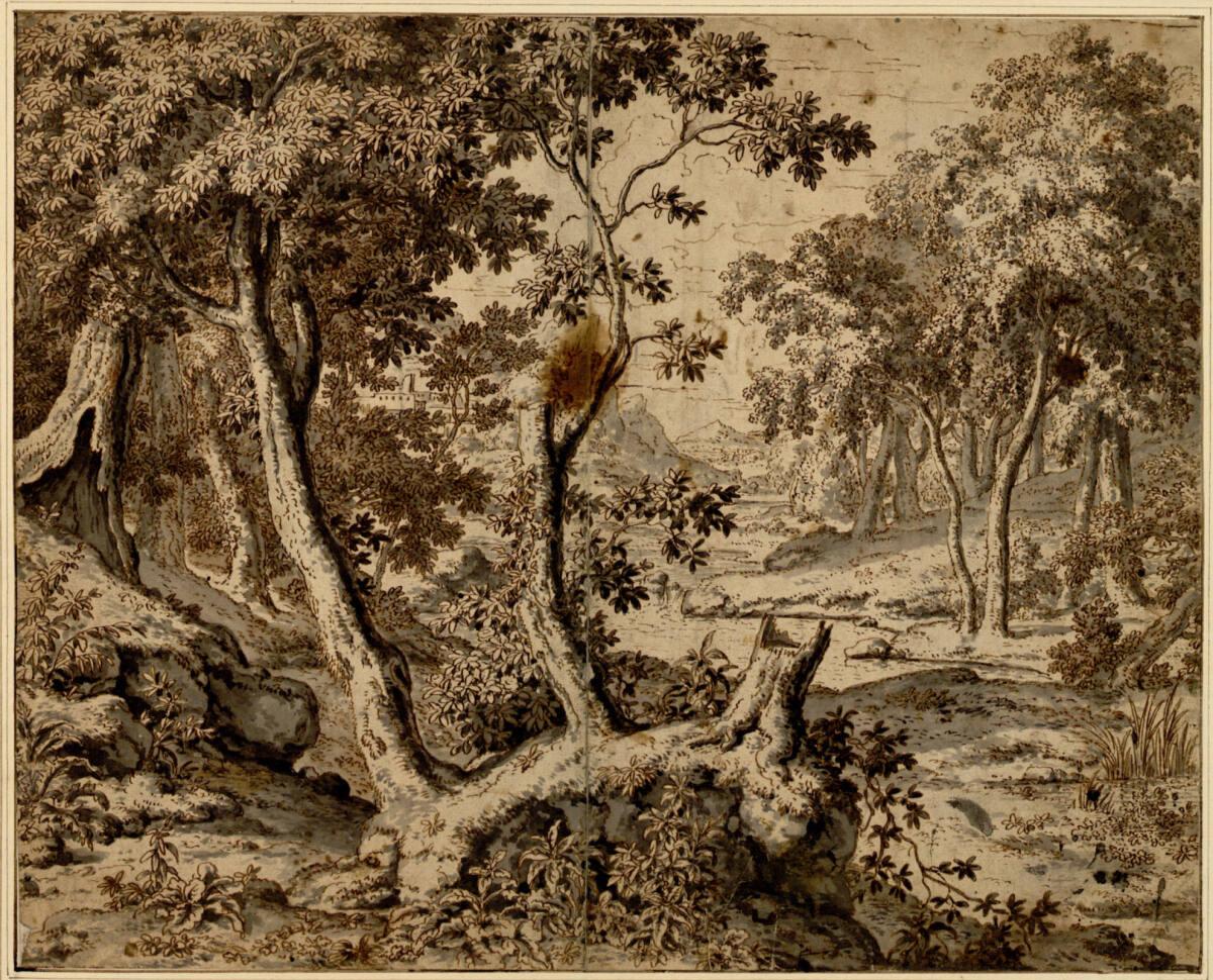 Anonym, Waldlandschaft, Inv. Nr.: 2055