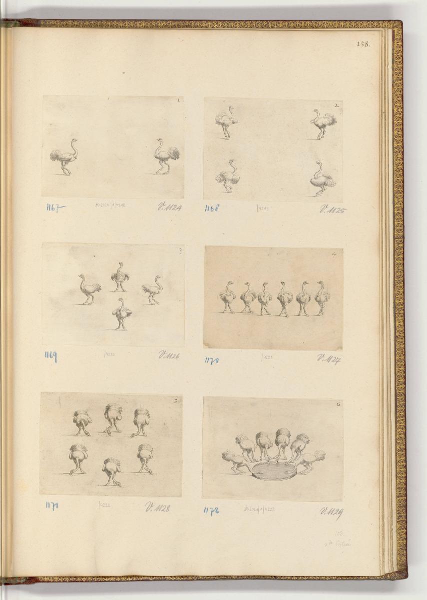 Druckgrafiken von und nach Stefano della Bella, Band II., Formationen mit Straußen, Inv. Nr.: H…