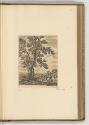 Druckgrafiken von und nach Stefano della Bella, Band II., Landschaft mit großem Baum und Reiter…