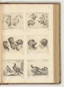 Druckgrafiken von und nach Stefano della Bella, Band II., Diverse Tierköpfe; Adler, Inv. Nr.: H…