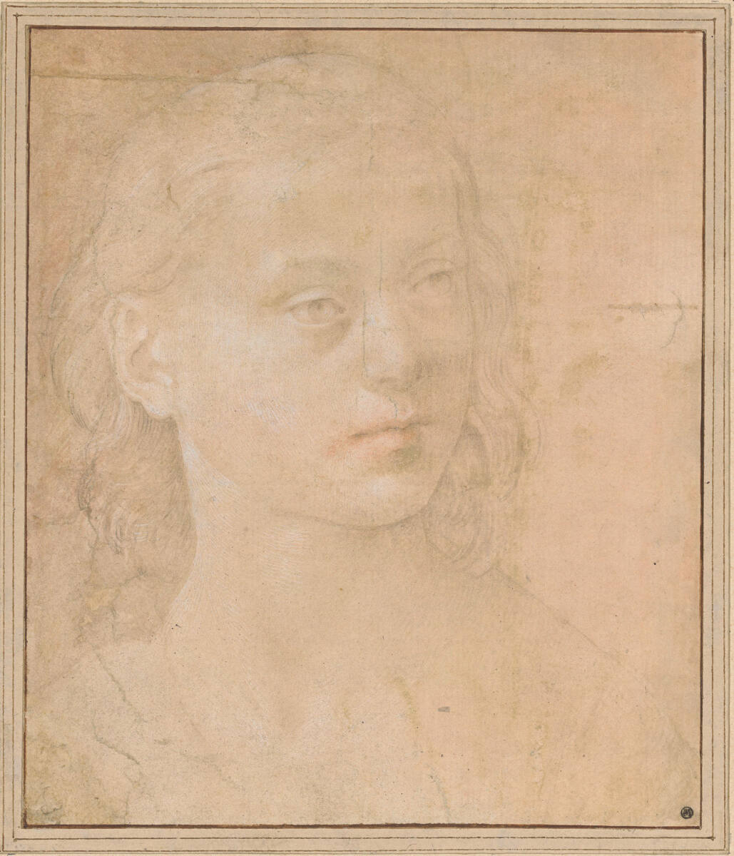 Jugendlicher Kopf nach rechts, Lorenzo di Credi