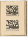 Druckgrafiken nach Raffael, Band II., Amor bittet Jupiter um Gnade für Psyche (29. Platte), Inv…