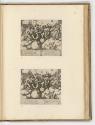 Druckgrafiken nach Raffael, Band II., Amor und Psyche vor den Göttern (30. Platte), Inv. Nr.: H…