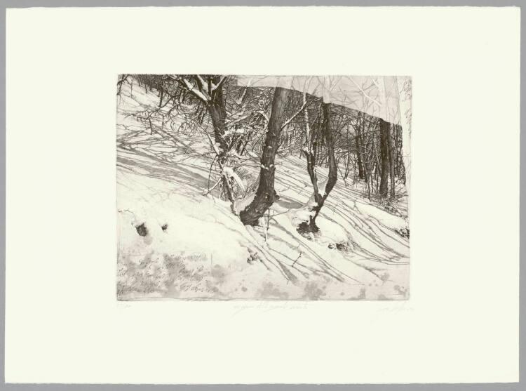 Livio Ceschin, Nei Giorni delle grandi Nevicate, Inv. Nr.: DG2007/27