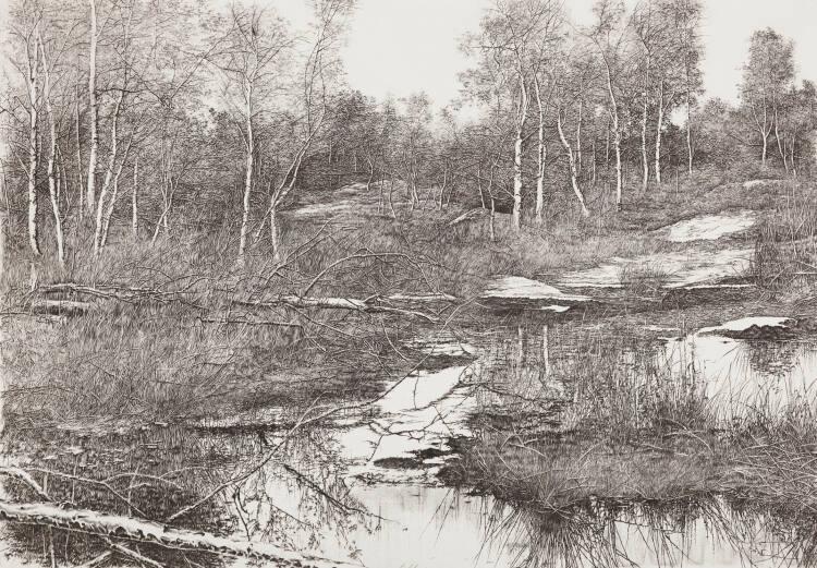 Livio Ceschin, Nei Segreti recinti dell' Acqua il Ramo, Inv. Nr.: DG2007/28