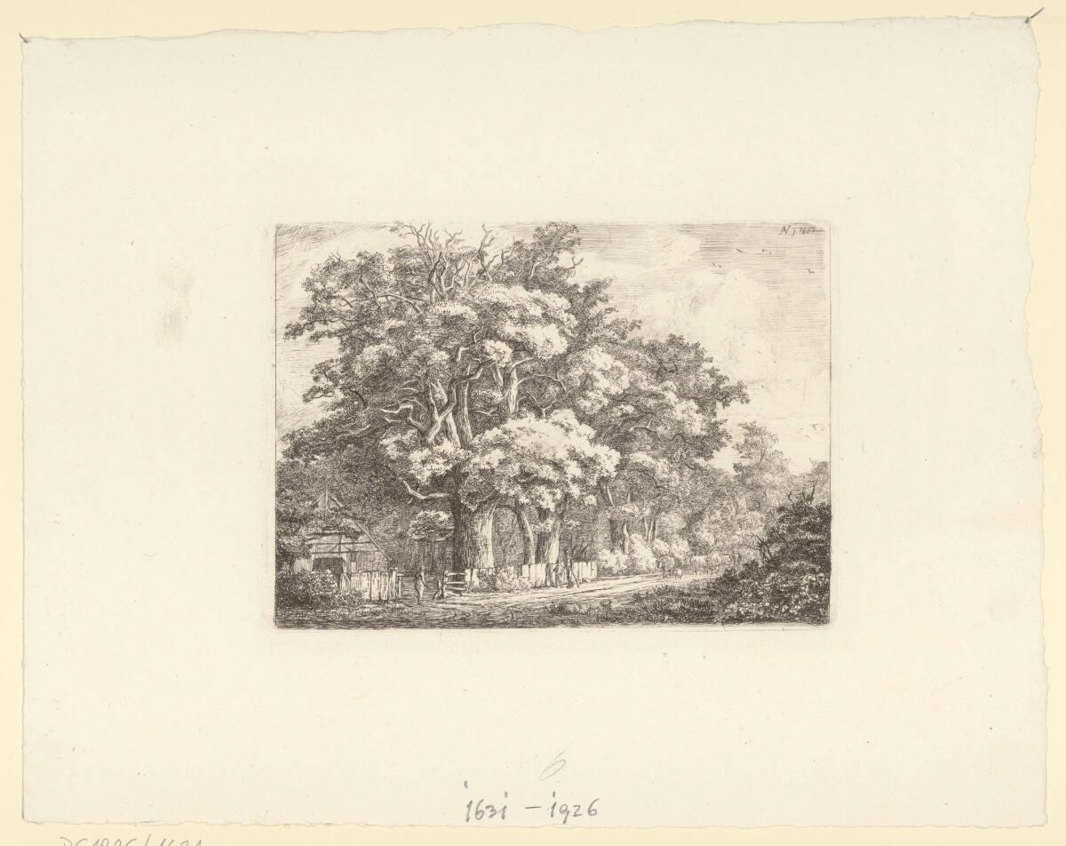Christian Friedrich Nerly, Waldlandschaft mit Bauernhütte, Inv. Nr.: DG1926/1631