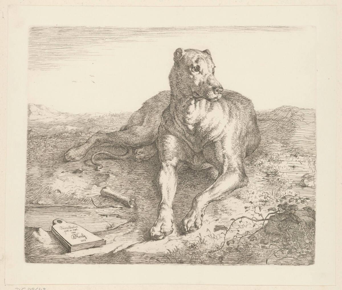 Christian Friedrich Nerly, Liegender Hund, Inv. Nr.: DG88643