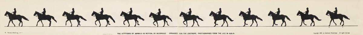 Eadweard Muybridge, Schritt gehendes und springendes Pferd, Inv. Nr.: FotoGLV2000/15620
