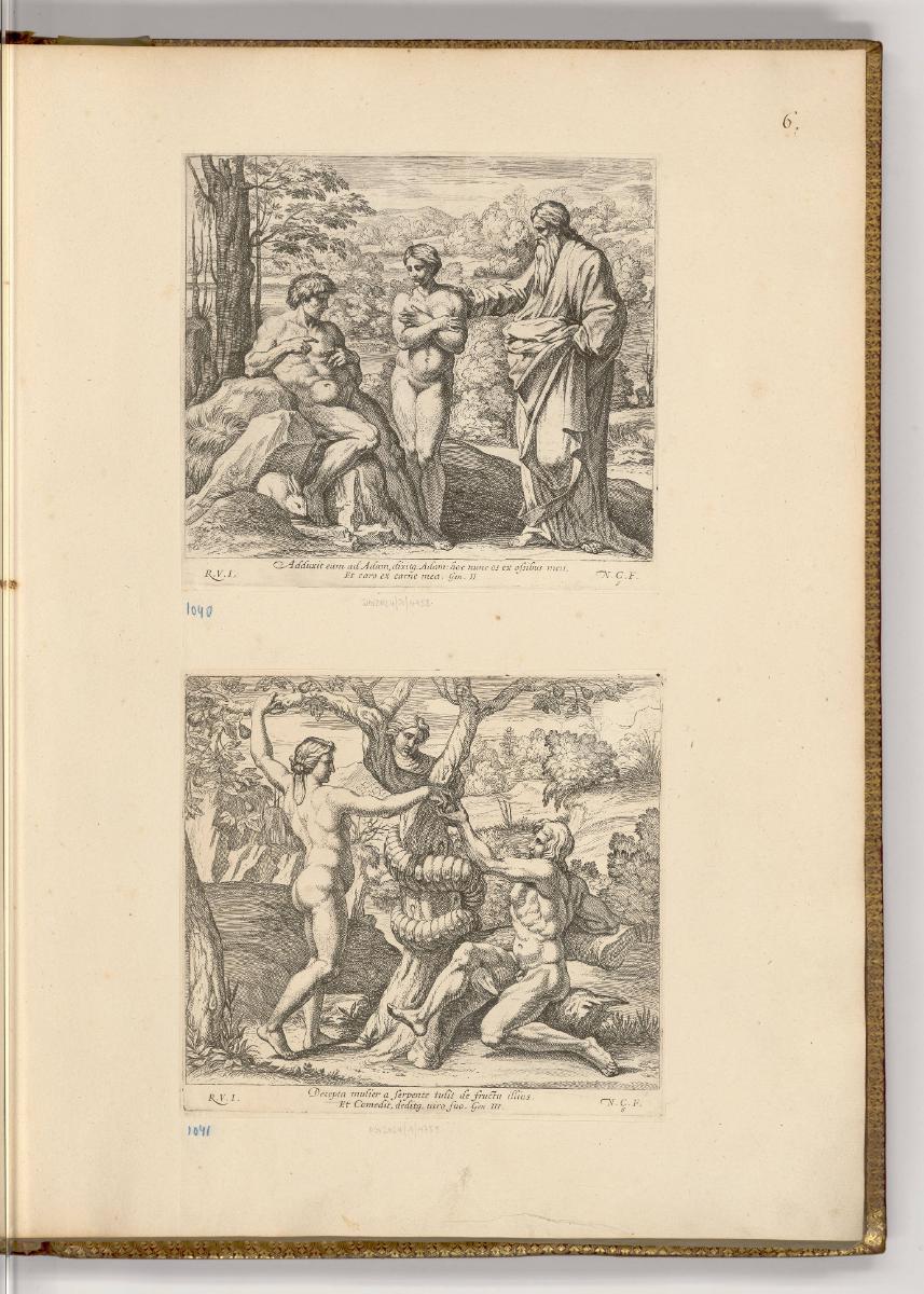 Druckgrafiken nach Raffael, Band IV., Gott erschafft Adam und Eva; Adam und Eva pflücken die ve…