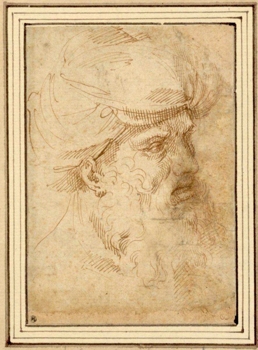 Agostino Carracci, Studie eines Greisenkopfes mit Turban im verlorenen Profil nach rechts, Inv.…