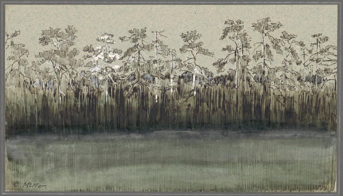 Karl Müller, Baumlandschaft, Inv. Nr.: 19051