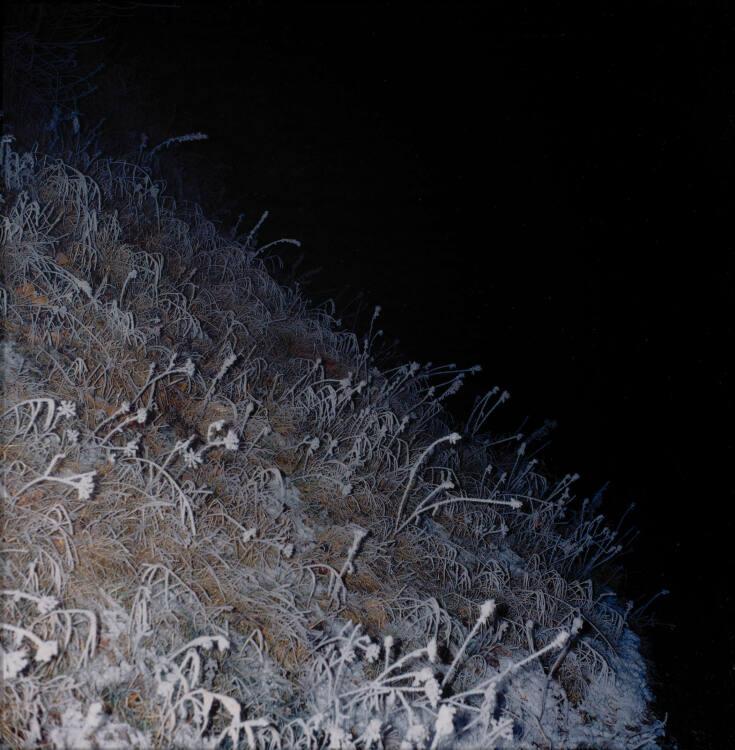 Manfred Willmann, Ohne Titel (aus der Serie "Das Land"), Inv. Nr.: Foto2002/11