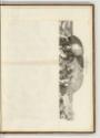 Druckgrafiken nach Pietro da Cortona und Ciro Ferri, Band II., Jupiterfresko im Palazzo Pitti, …