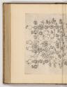 Kupferstiche von Cornelis Cort, Band II., Stammbaum des Hauses Medici (oberer Teil), Inv. Nr.: …