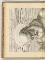 Kupferstiche von Johann Friedrich Greuter, Heiliger Anicetus (oberer Teil), Inv. Nr.: HB24, HB2…