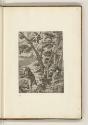 Druckgrafiken nach Tizian, Martyrium des Petrus von Verona, Inv. Nr.: HB27.2, HB27.2/5