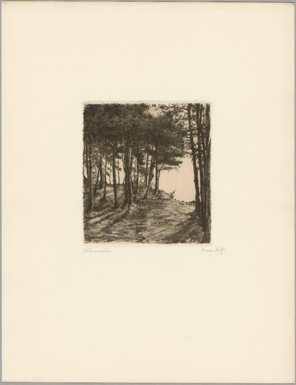 Anna Mik, "Föhrenwald", Inv. Nr.: DG1911/722/3