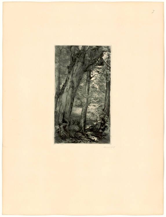 Anna Mik, "Waldmotiv aus Cabuna", Inv. Nr.: DG1904/282/7