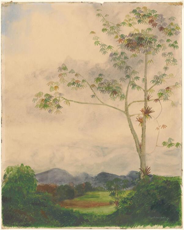 Franz Lichtenberg, Tropisches Hochland, Inv. Nr.: 49034