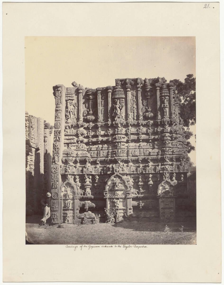 Anonym, Carvings of the Gopuram entrance to the Pagoda Tarputree., Inv. Nr.: Foto2026/1/21