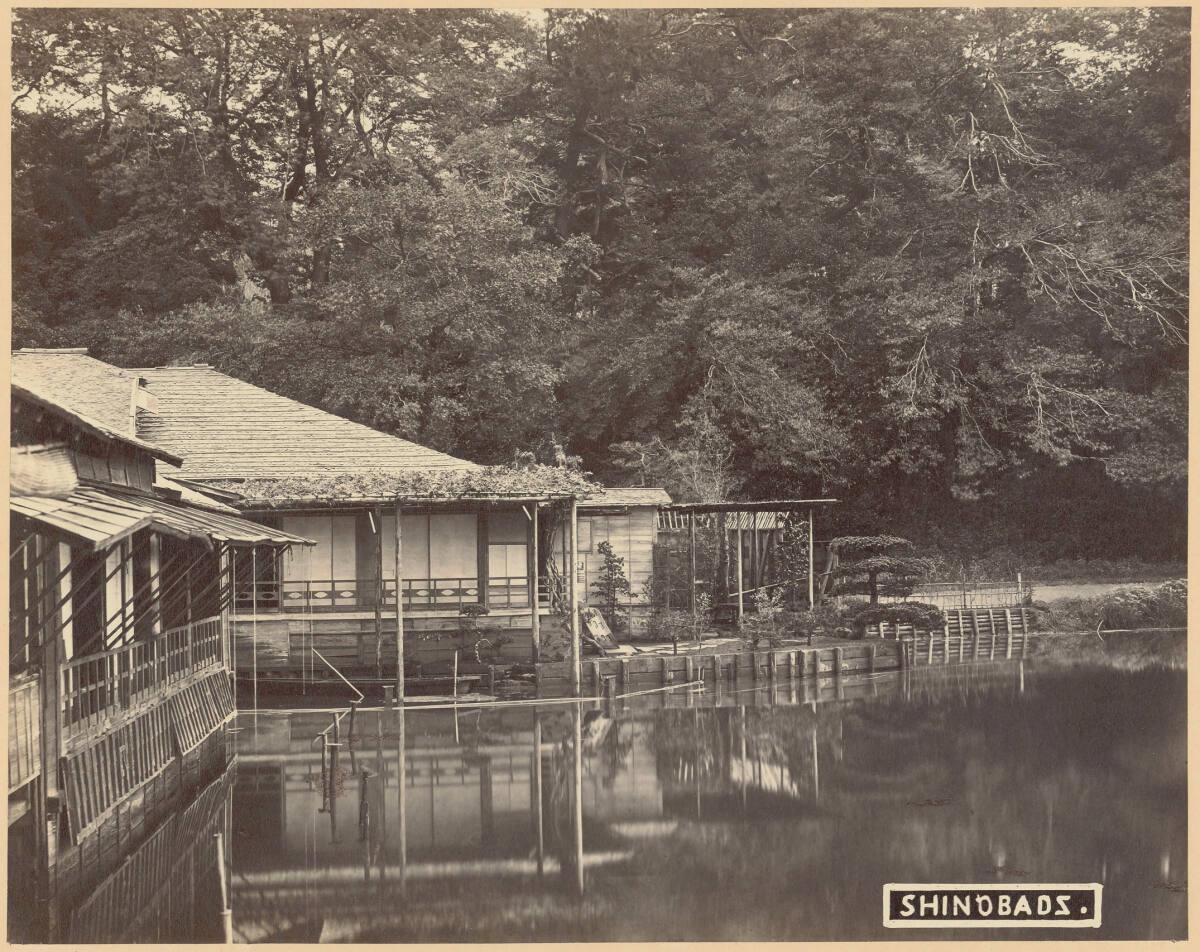 Raimund Stillfried von Rathenitz(& Comp.), Shinobazu, Ueno Park, Tokio, Inv. Nr.: FotoGLV2000/1…