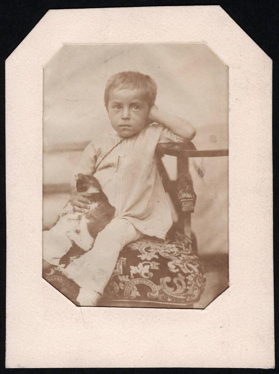 Andreas Groll, Kinderbildnis, kleiner Bub mit einer Katze im Schoß, Inv. Nr.: FotoGLV2000/6174