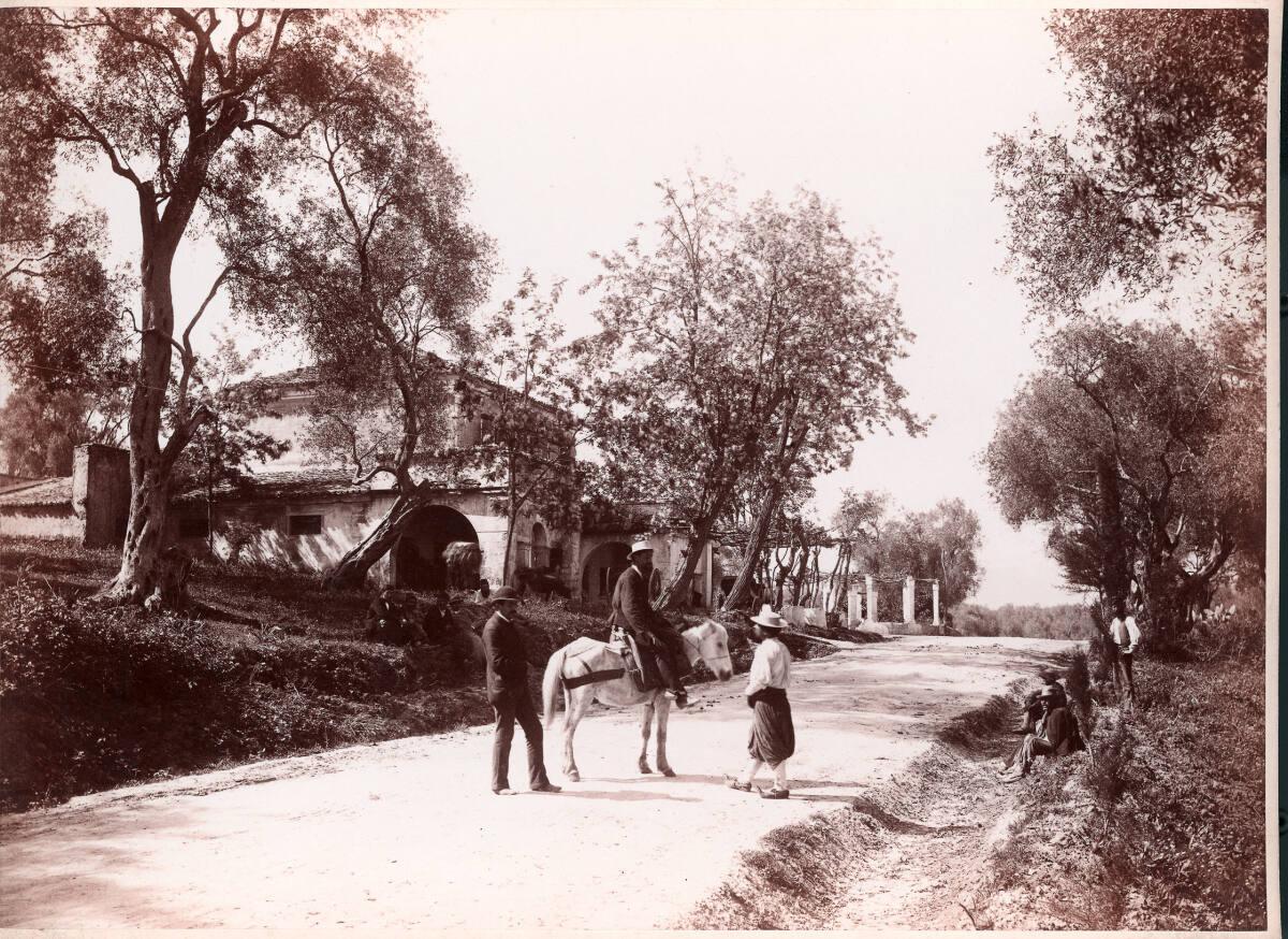 Alois Beer, Corfu, Taverne an der Straße nach Ipso, Inv. Nr.: FotoGLV2000/6354